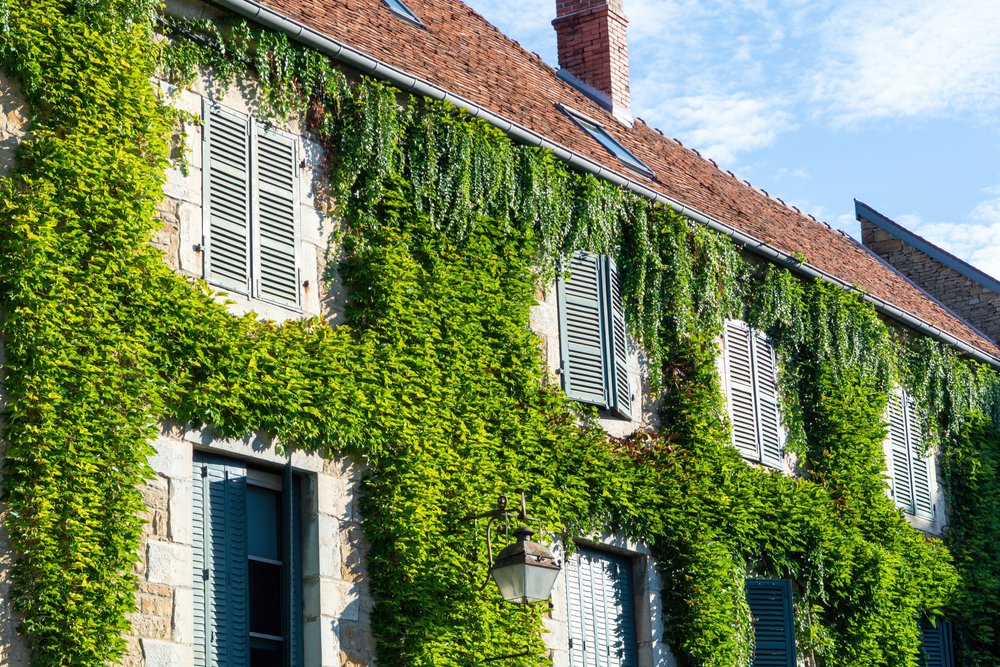 TravelLocal tweet media