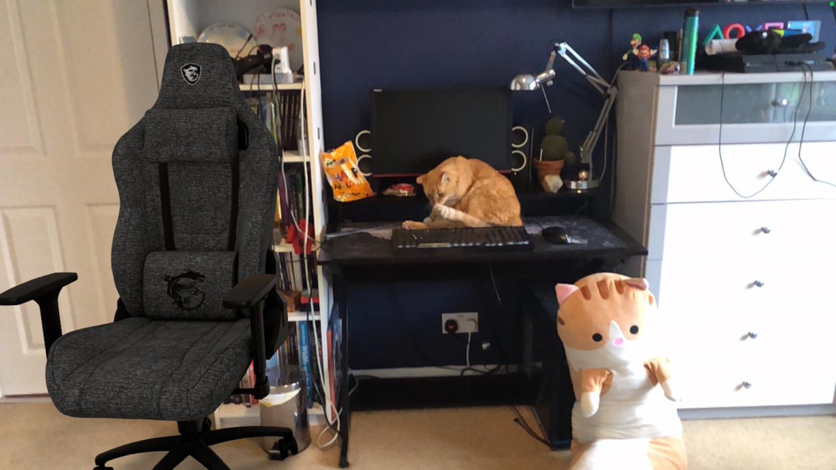 McL2468's tweet photo. #CH130 This is the chair next to my gaming pc setup, a cat body pillow (very big hugs) and my cat McGyver. He has been diagnosed with terminal brain cancer and Will likely not make it to christmas. He is 18 years old (older than me) and has been a fluffy friend for all my life. https://t.co/SPhbVgQszX