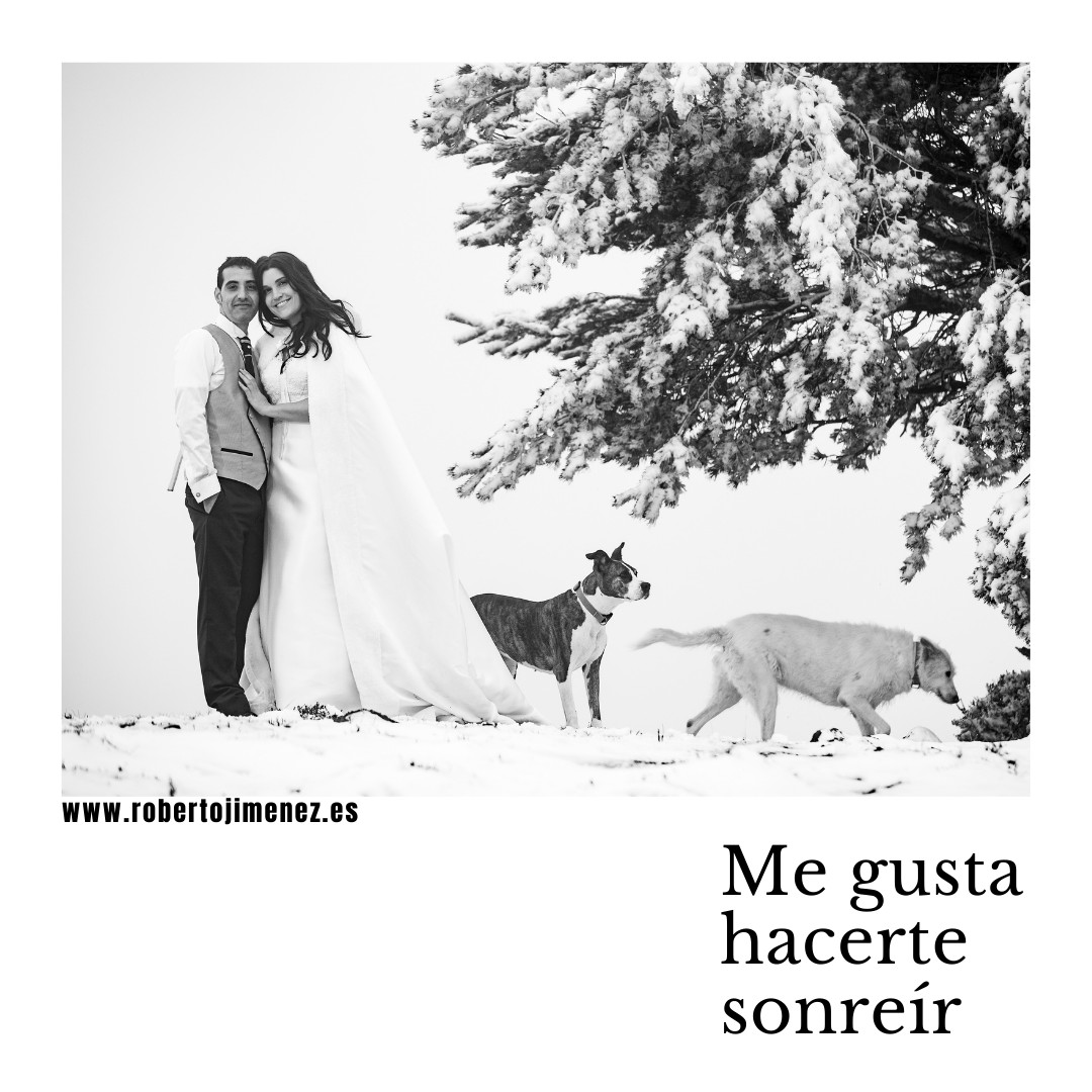 riojalo's tweet photo. Las primeras nieves del año☃️.
Postboda
.
.
.

 #bodaslarioja #bodasalava #b... https://t.co/SHQw5LVwXd https://t.co/t2j3zUEOAH