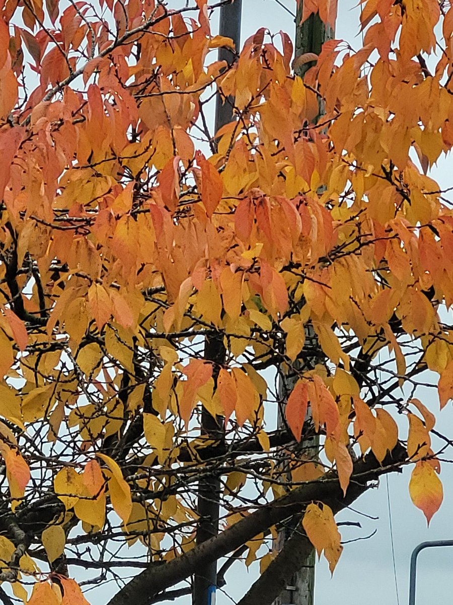 Favourite time of the year