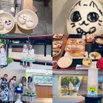 アイト&猫のルルーシュ🐱@bio・politics⭐のツイート画像