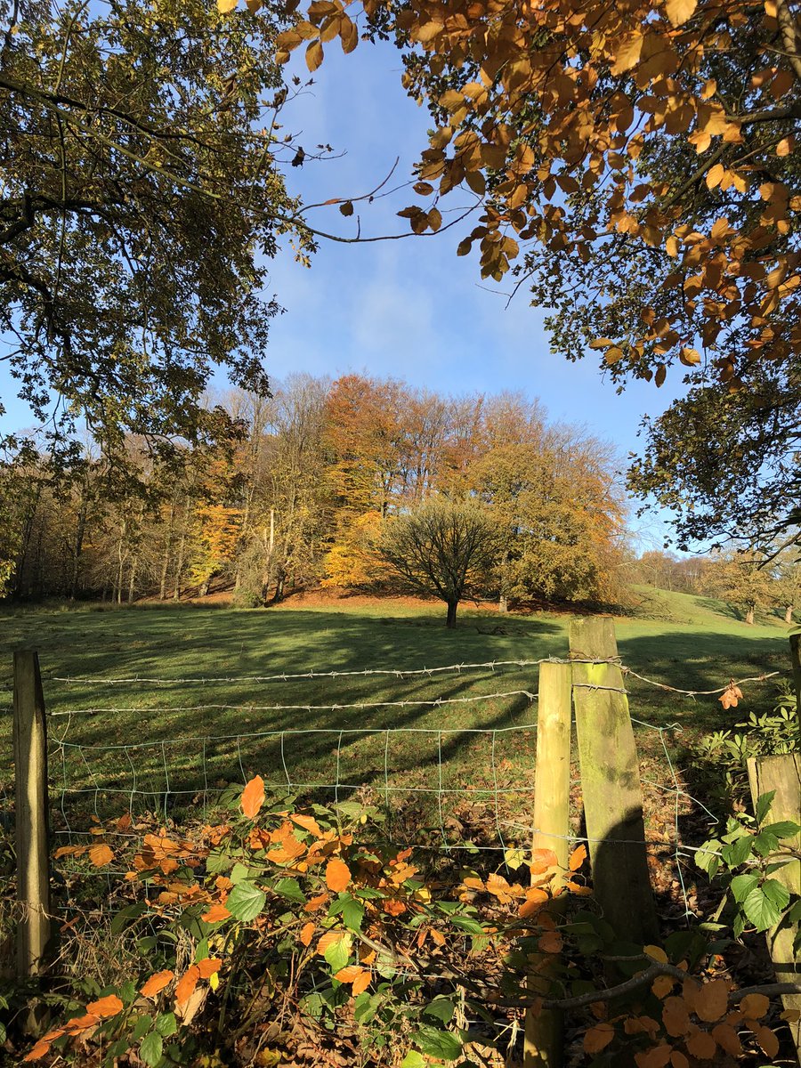 Marianne 💙 tweet media