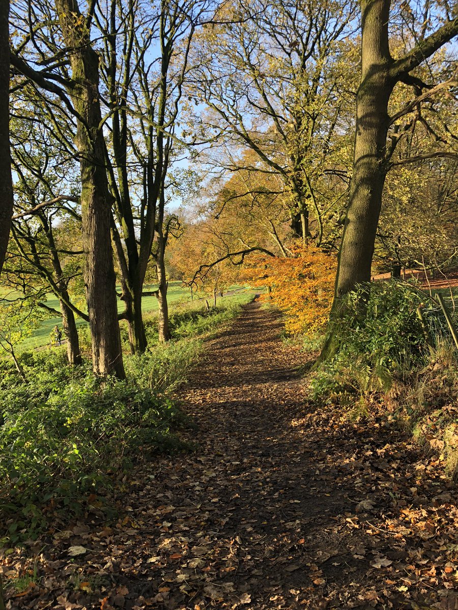 Marianne 💙 tweet media