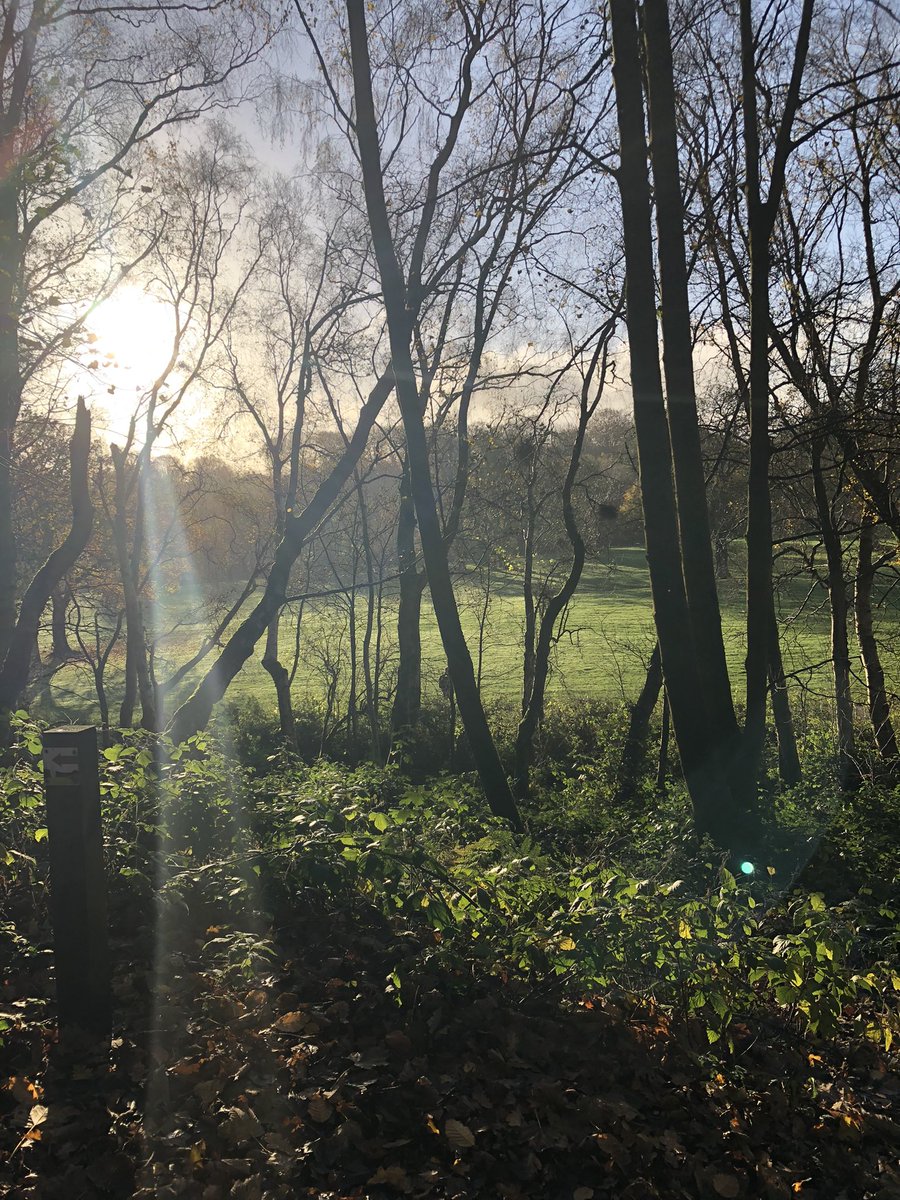 Marianne 💙 tweet media