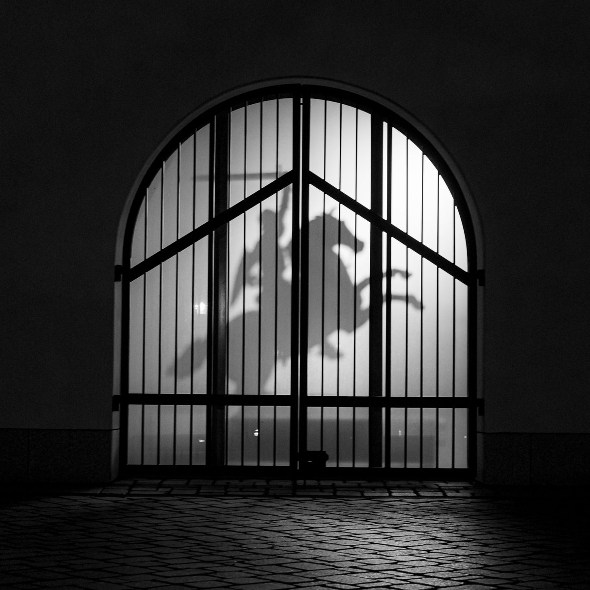 zaza_lt's tweet photo. You just go around Palace of the Grand Dukes of Lithuania and Vilnius Cathedral, do typical touristic photos... and unexpected: shadow of the "Vytis" in the gates! https://t.co/fJ7oMTKTbf
