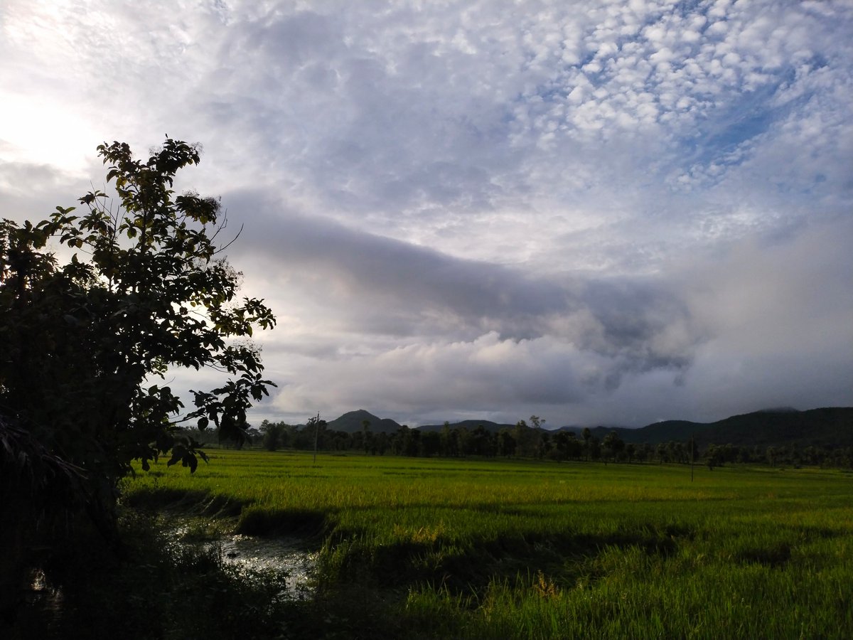 advranjan_'s tweet photo. Take a pure breath 🫁 make your body healthy and happy 😊 and feel the nature. #FrontOfMyFarmHouse #Winter ❄️ 🌧️ #Rainey #LoveToClick
@Vijaykulange https://t.co/HB35Qynzl3