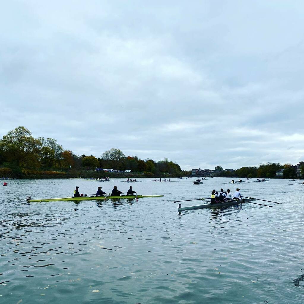 Sea For Yourself tweet media