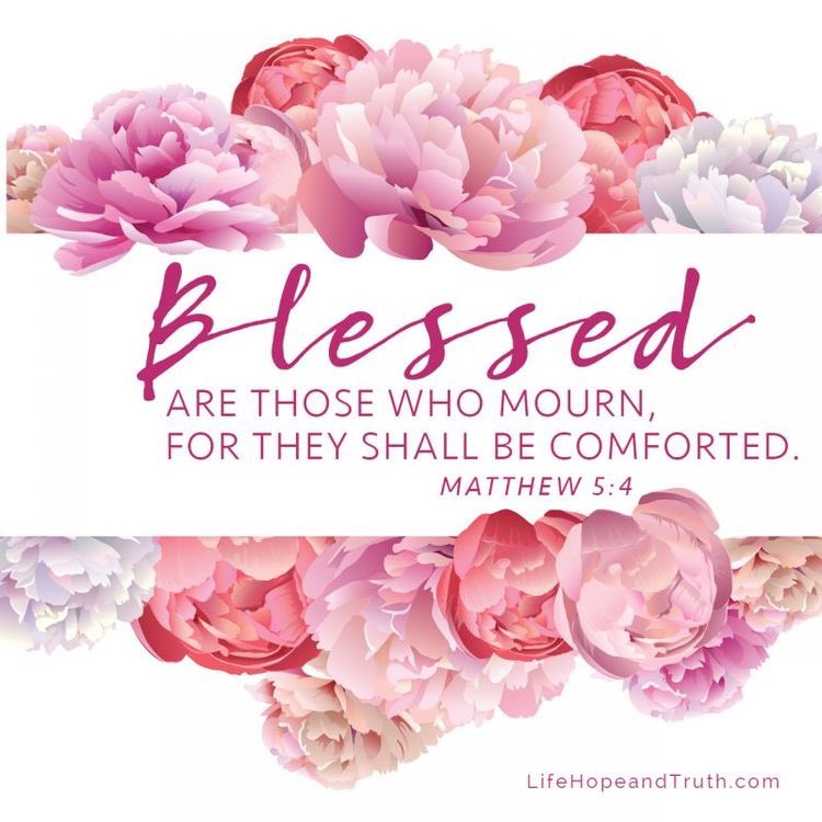 dannybo61749918's tweet photo. Jesus Said: " Blessed Are Those Who Mourn, For they Shall be Comforted." 

             Reference:( Matthew 5:4) https://t.co/kjvSQEn3Zv