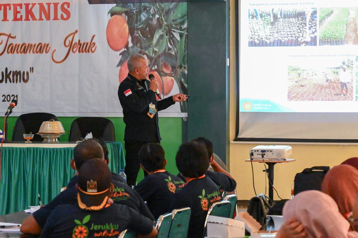brmpjestro's tweet photo. Sabtu, 13 November 2021 Tim Balitjestro melakukan Bimbingan teknis teknologi budidaya tanaman jeruk yang bertempat di Kantor BPTP Sulawesi Tenggara dengan mengusung tema Jerukku Untukmu.
#balitjestroindonesia #balitbangtan #kementan #rpikjeruk #kendari #bptpsultra #tspjeruk https://t.co/qWXe8JczKb