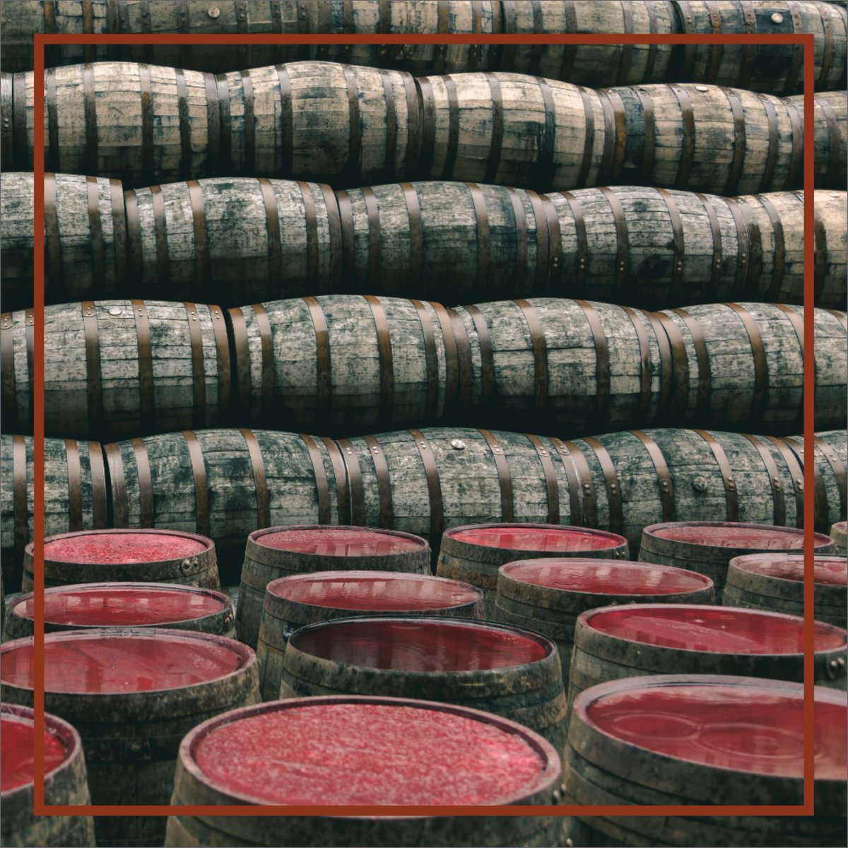 BitCaskApp's tweet image. Today’s rain is tomorrow’s whisky

Good things come to those who wait, as every whisky lover knows.

If you’re looking to put something away for a rainy day (bit-cask.com) #whisky #whiskey #scotch #malt #drink #save #cop26 #bitcoin #BitCask