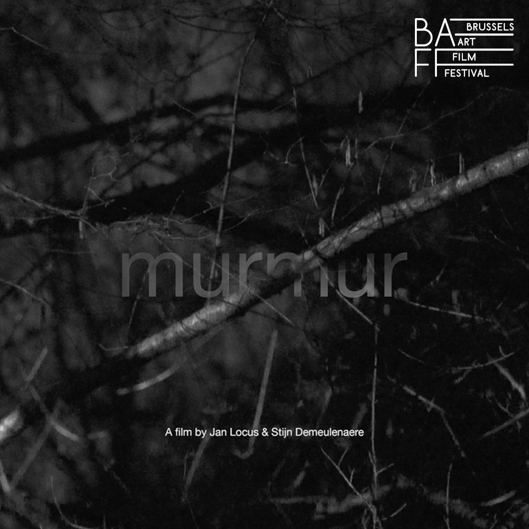 stijnvibes's tweet photo. Today, the Belgian premiere of #Murmur, a film by #JanLocus and myself. 14hr at the #BrusselsArtFilmFestival #BAFF
https://t.co/mwg1ge1XEy https://t.co/81sIbfWjiS