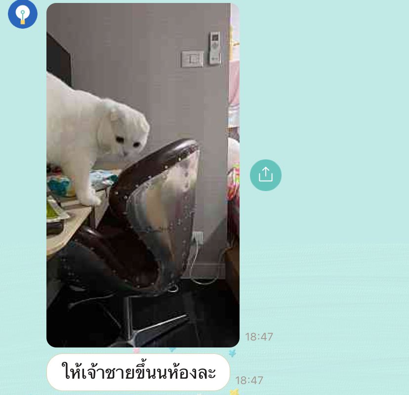 ปะเนว ตะฝุ่น และเอริจัง tweet media