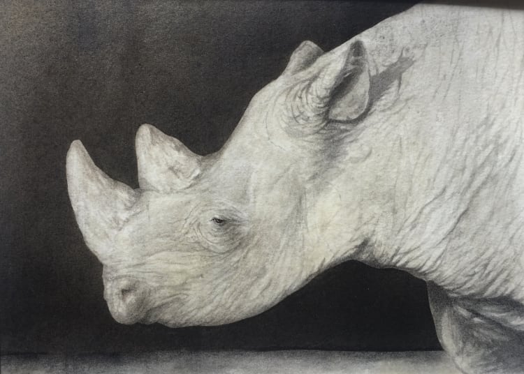 CricketFineArt's tweet image. WILLIAM SPRING - 'RHINO'
(Hungerford Gallery)
Watercolour on paper
Enjoy the wonderful talent of William Spring by following the link
cricketfineart.co.uk/artists/364-wi…
17.8 x 12.7 cms
(Mounted size: 25 x 30.2 cms)
Signed
@williamespring 

#WilliamSpring #CricketFineArt #Artworks #Rhino
