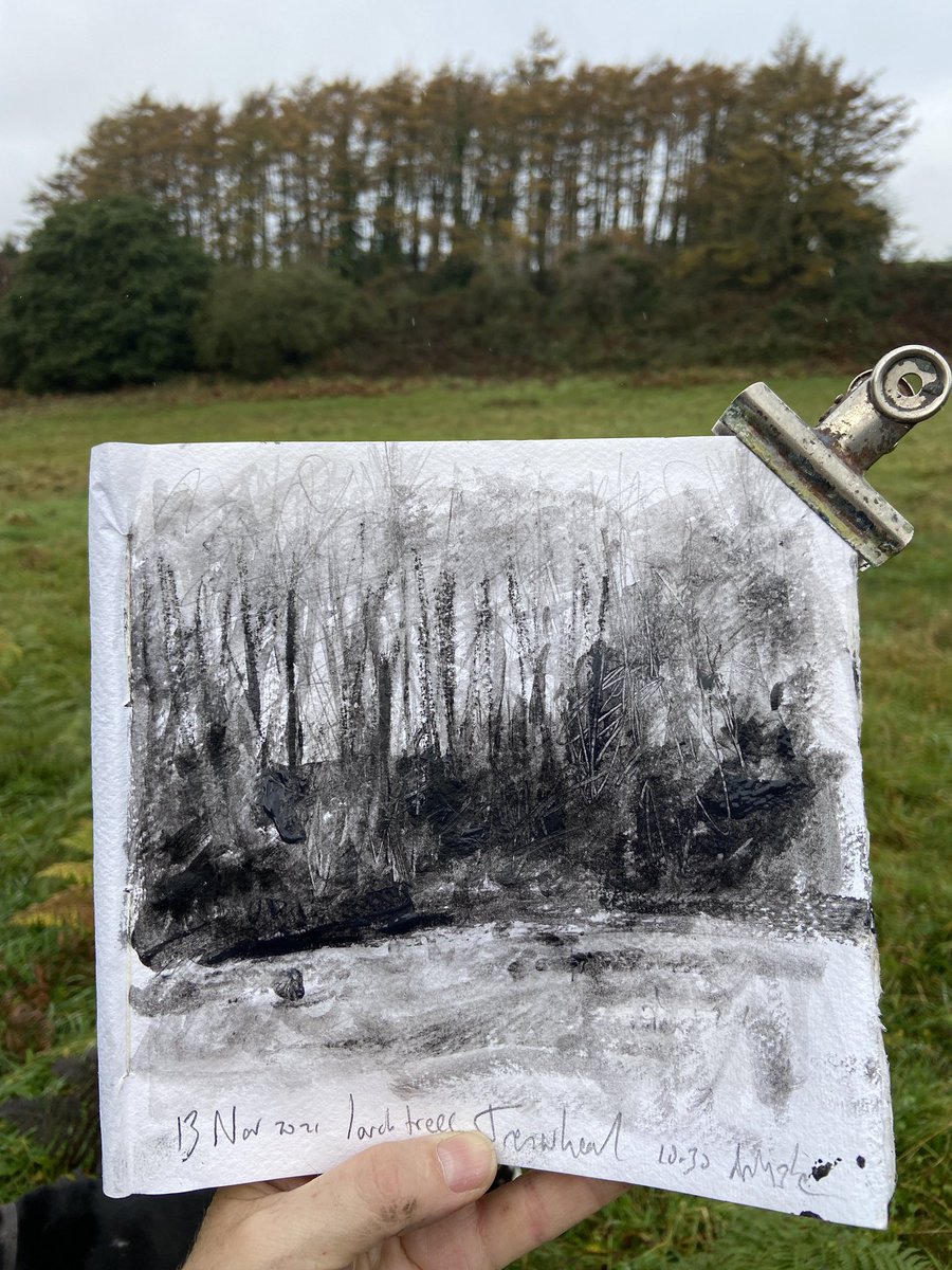 BarrowmanArtist's tweet photo. I’ve always loved this row of larches - @ViarcoPortugal art Graf with Wallace Seymour @SeymourPip liquid charcoal #art #ArtistOnTwitter #larchtrees #artwork #sketching https://t.co/rieHDtswcN