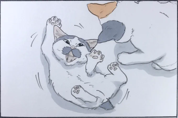 『完封』 