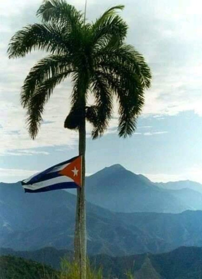 Hoy #CubaVive y renace
Donde canta el tocororo
Y la palma con decoro
Patria y bandera se hace
Para q el traidor no pase
Inadvertido en su afán
D agredirnos, lucharán
Unidos todos sus hijos
Gusanos, no hay acertijos
Si se tiran, quedarán
#ACubaSeRespeta 
<a href="/universidad_uci/">Universidad de las Ciencias Informáticas</a> <a href="/uci_ujc/">UJC_UCI</a>