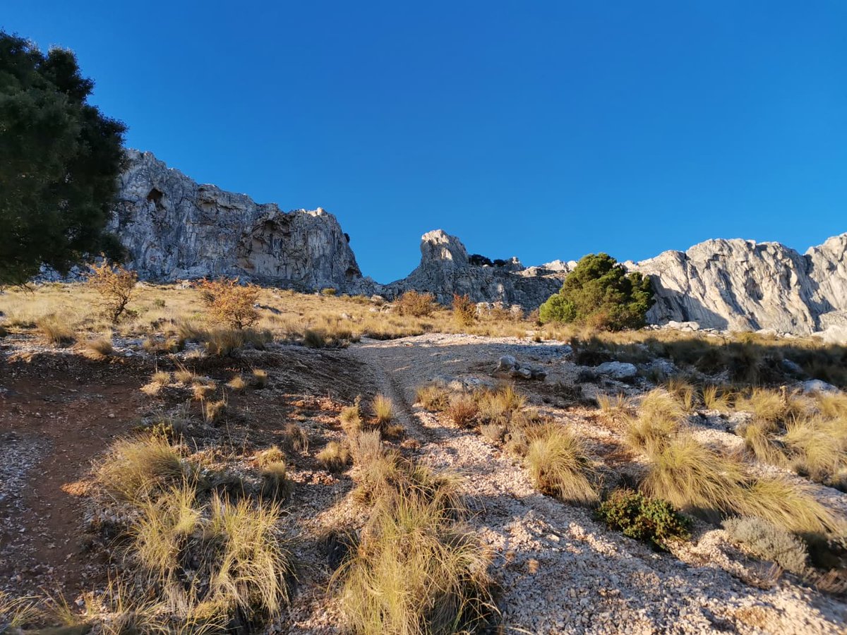 mdavilavm's tweet photo. Lo he dicho muchas veces y lo mantengo: en #Jaén somos unos suertudos por la naturaleza que tenemos a tiro de bota, maravillas en cuanto se acaban las calles, y también dentro de ellas. #SillyWalks #18kmSuertudos #LaMella #Vicaría #Neveral #Muralla https://t.co/hHY0DDu8vm