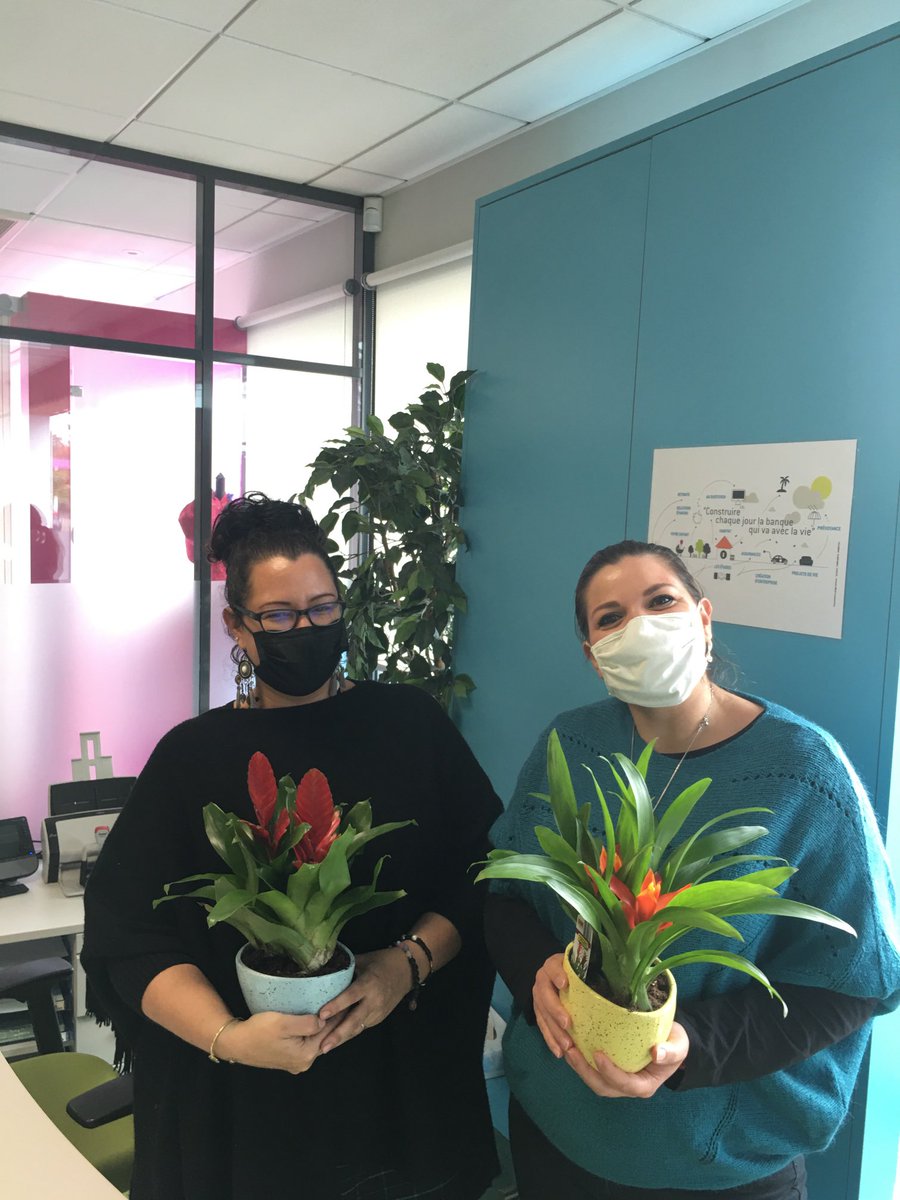 Vincente Stangherlin tweet media