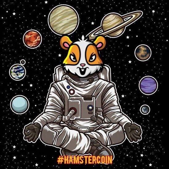 İbrahim Çınar tweet media