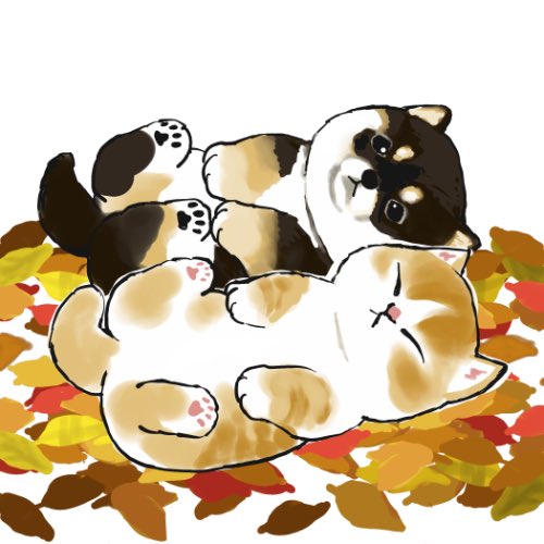 「秋 瞑目」のTwitter画像/イラスト(人気順)