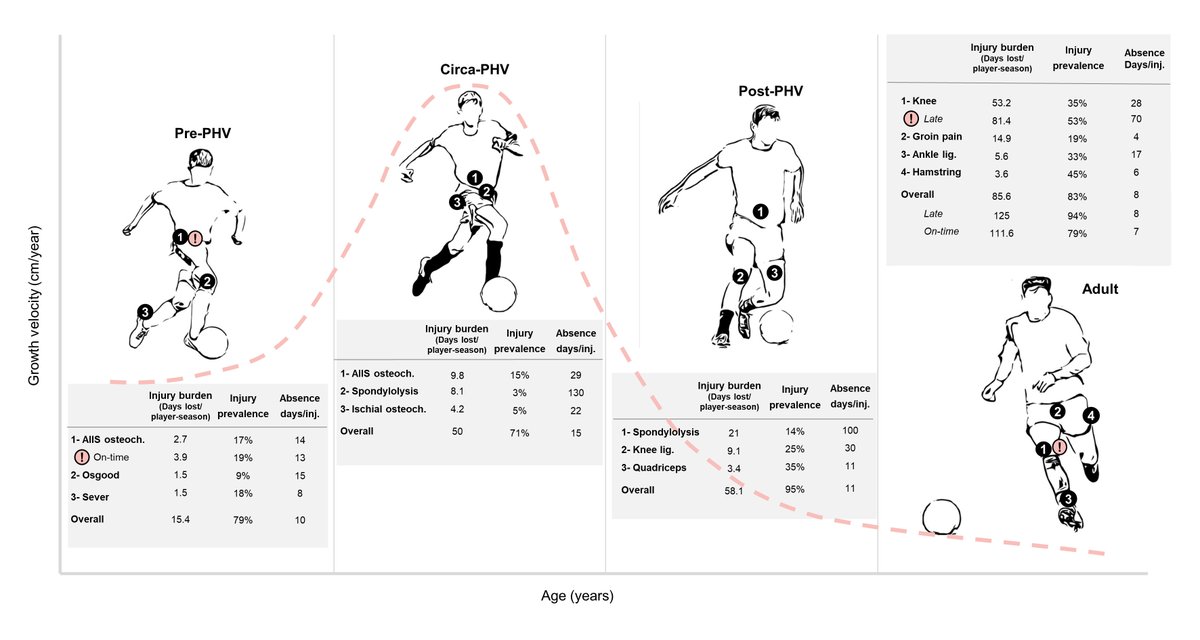 Second PhD study available online 📢 <a href="/EurJSportSci/">Euro J Sport Science</a> 

Injury burden patterns vary according to maturity status and timing in academy football players 🦴📈📏⚽️🧑

Thanks to all involved! <a href="/AthleticClub/">Athletic Club</a> <a href="/upvehu/">UPV/EHU</a> <a href="/BCAMBilbao/">BCAM</a> 

Please share 🔁

tandfonline.com/doi/abs/10.108…