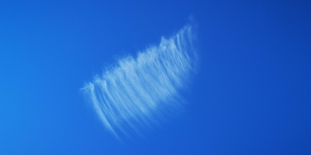 ShowMeTheSky1's tweet photo. #13Noviembre Zona Este de #Madrid 13:00 #CieloDespejado #Aerosoles #CieloLechoso #NubesNaturales #VaporDeAgua y #CristalesDeHielo #Dimming #SRM #ManipulaciónClimática GeoIngenieria HAARP NexRad #MiraAlCielo No te pedimos que pienses como nosotr@s, solo que pienses https://t.co/ytksj8EDXa