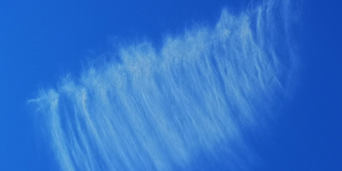 ShowMeTheSky1's tweet photo. #13Noviembre Zona Este de #Madrid 13:00 #CieloDespejado #Aerosoles #CieloLechoso #NubesNaturales #VaporDeAgua y #CristalesDeHielo #Dimming #SRM #ManipulaciónClimática GeoIngenieria HAARP NexRad #MiraAlCielo No te pedimos que pienses como nosotr@s, solo que pienses https://t.co/ytksj8EDXa
