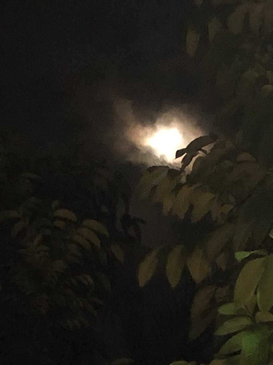 LRodmayu's tweet image. ดึกๆๆก็ประมาณนี้