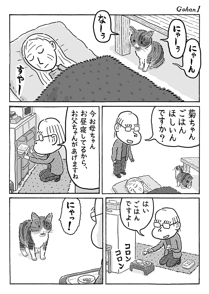 2ページ猫漫画「ごはんくれる人」 #猫の菊ちゃん 