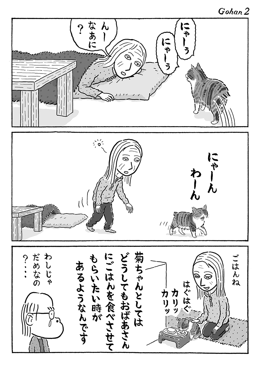 2ページ猫漫画「ごはんくれる人」 #猫の菊ちゃん 