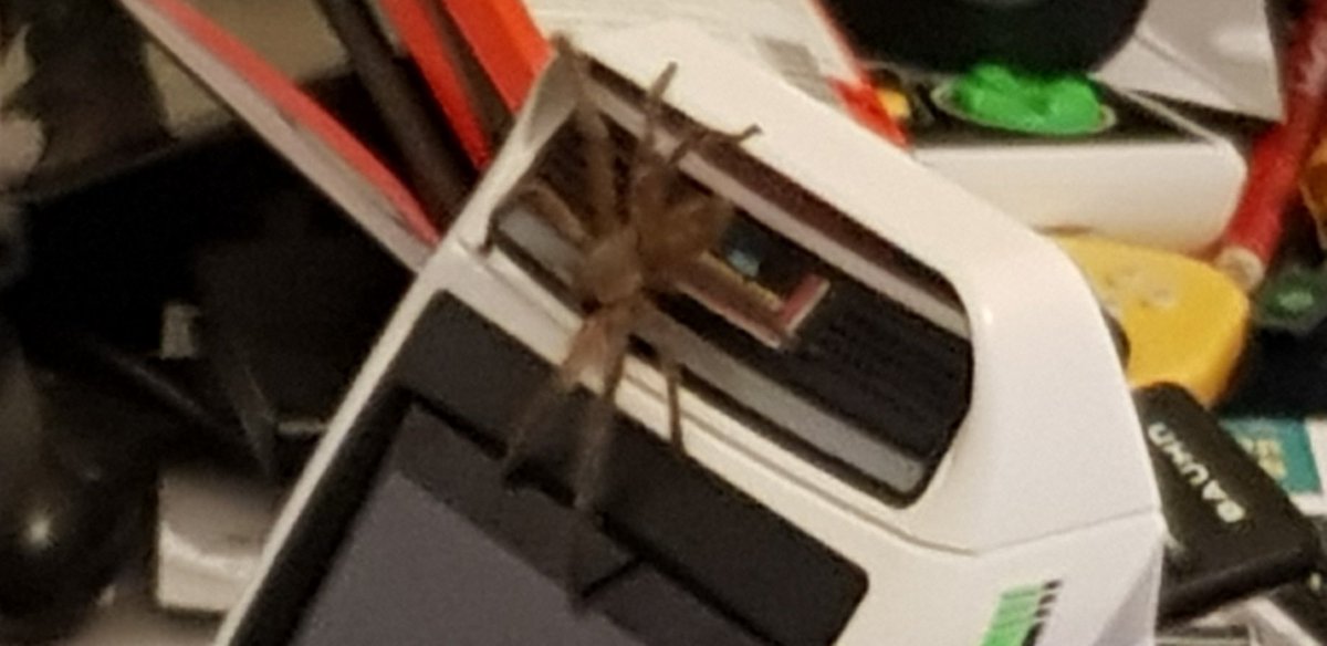 Retrokaiser's tweet photo. Had quite a scare just now.  This guy wanted to play my arcade cab. https://t.co/8rHccXjHAG