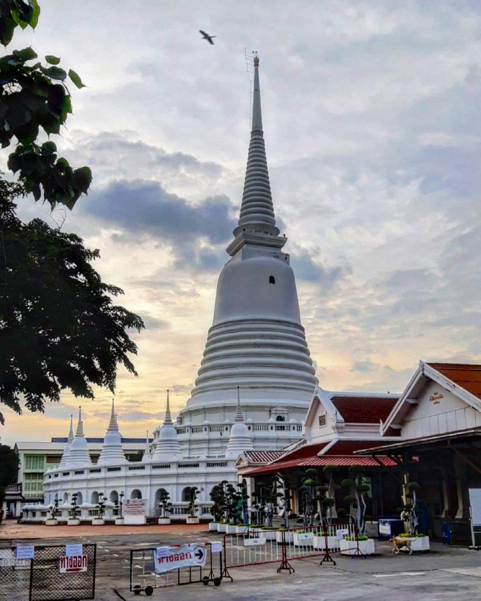 Thorada's tweet photo. Going through the Wat Prayun garden at dusk is always a treat. 🙏😎 #UrbanCycling #Wanderlust #WatPrayun #Bangkok #Sunsets #GoldenHour #Thailand #bbkk #BeautifulBangkok #CoolSeason https://t.co/EcnslB4EgL