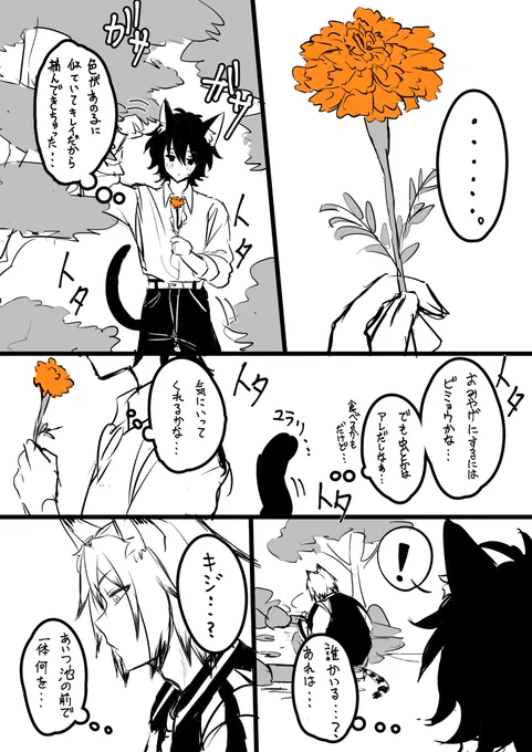 金魚に恋した黒い猫の話。
おみやげ 