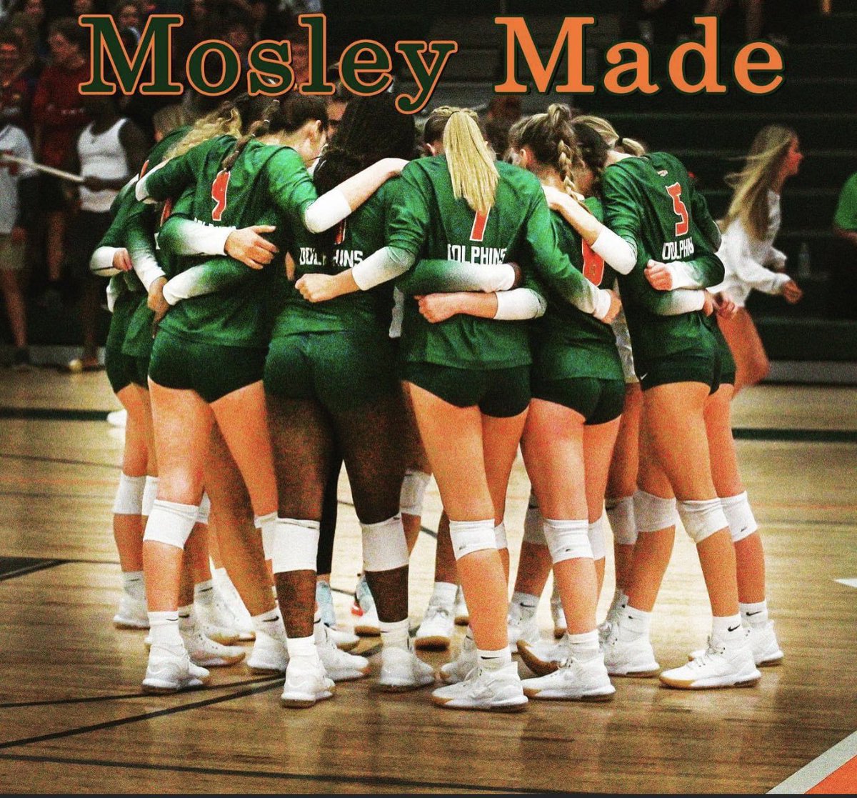 Game Day! Final Four! Come support your Mosley Volleyball team 1pm in The Tank! Block party 10:30-12:30 free food