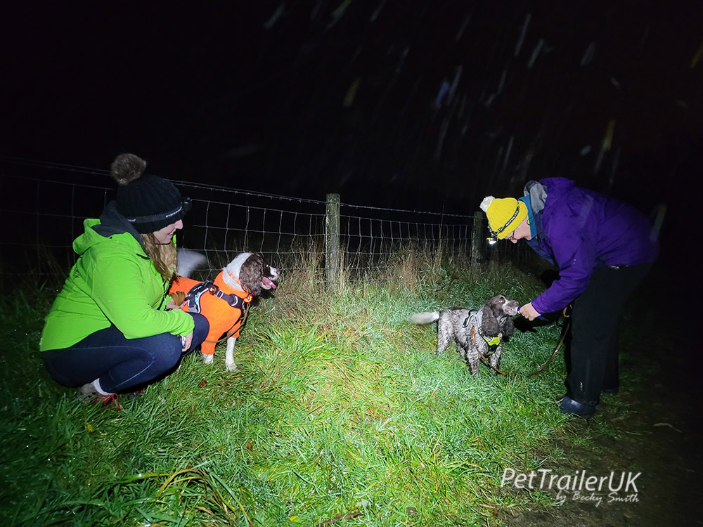 pettraileruk's tweet photo. Our future #LostDog search teams in training. Pet dogs learning to help reunite missing pets with their families like @PetTrailerMabel 

#dogsoftwitter #MissingDog https://t.co/aHcf7Hv1xq