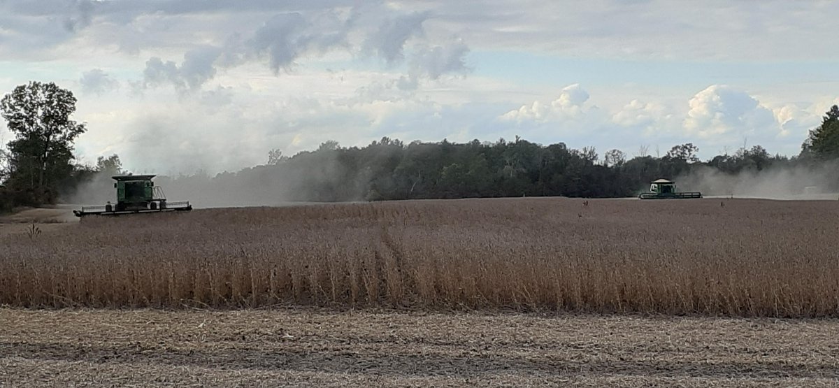 HuronTractorLtd's tweet photo. Loving your #IRunWithHT pics. Thank you
💚 Ross McNeice who wrote "Too hard pushing the old mower Dad -Happy 92nd Birthday!"
💚 John Kelly sent a beautiful shot from their soybean #harvest21
💚 John Brown with his lawn tractor switched from "mow to snow"
https://t.co/IEJH9P3m5o https://t.co/A8p87ovLka