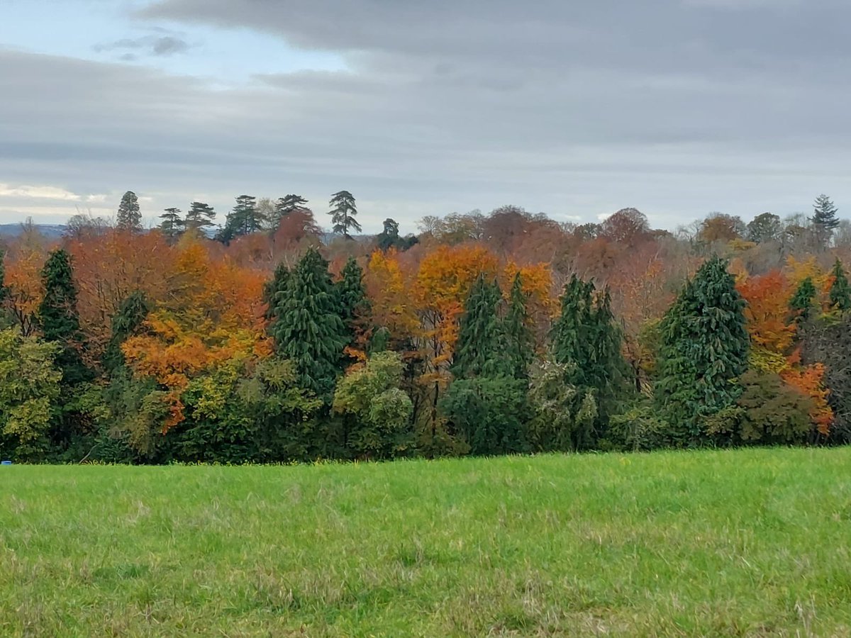 PaulCoxComedy's tweet photo. A lovely walk across Chalton Down with Mrs Cox this morning. Walked from the Red Lion across the down to see St Hubert’s at Idsworth, where the Cox dynasty began.
#chalton #chaltondown #sthuberts #idsworth #walking https://t.co/1m0HeZwBOA