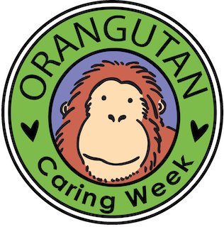 EPOA_IT's tweet photo. ORANGUTAN CARING WEEK  7-13 Novembre 2021 🌴 Secondo le principali organizzazioni ambientaliste impegnate nella conservazione degli oranghi la loro sopravvivenza dipende dallo sviluppo della filiera dell' #oliodipalmasostenibile  https://t.co/gWadNjtljV https://t.co/Wr1HonKP7F