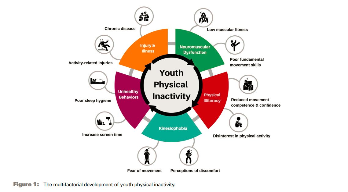 Strength4_Life's tweet photo. 🏋️💪Making a Strong Case for Prioritizing Muscular Fitness in Youth Physical Activity Guidelines

'Generic recommendations to simply move more are not enough to activate this generation of girls &amp; boys who are weaker &amp; slower than previous generations'

https://t.co/C6ESMxyZU6 https://t.co/9DqF8Okxu0