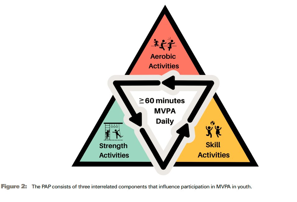 Strength4_Life's tweet photo. 🏋️💪Making a Strong Case for Prioritizing Muscular Fitness in Youth Physical Activity Guidelines

'Generic recommendations to simply move more are not enough to activate this generation of girls &amp; boys who are weaker &amp; slower than previous generations'

https://t.co/C6ESMxyZU6 https://t.co/9DqF8Okxu0