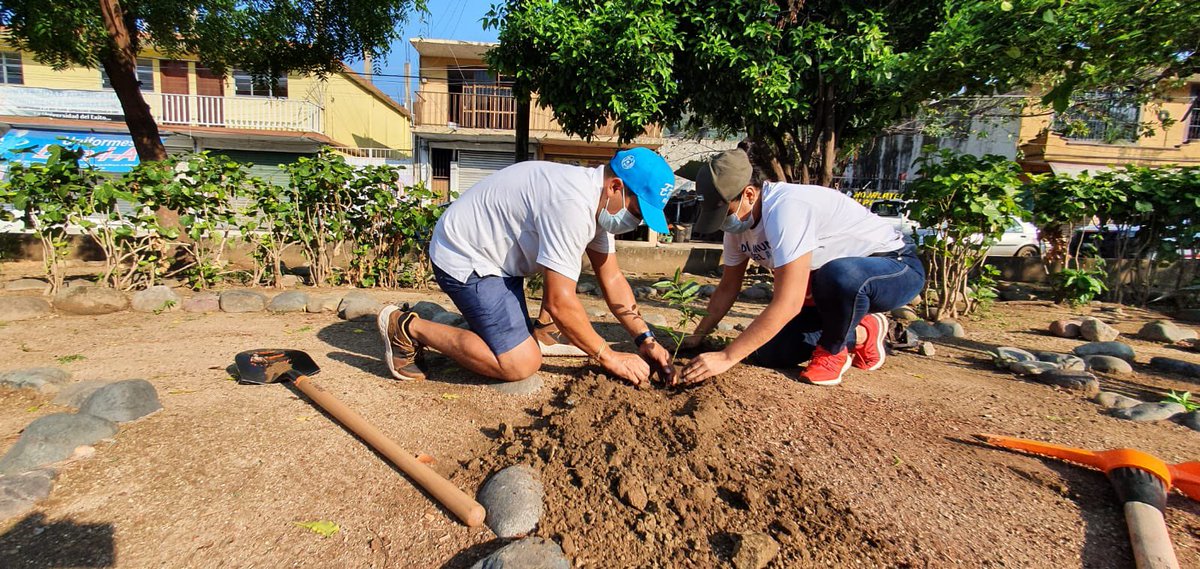 LFSalasR's tweet photo. Cualquier motivo para plantar un árbol nos remonta a un beneficio colectivo, plantar cientos de ejemplares es una iniciativa sustentable del @Gob_Zihuatanejo a la que hoy se suma con dedicación y compromiso el #EquipoCAPAZ.
#AvanzamosJuntos https://t.co/QRauWk2llS