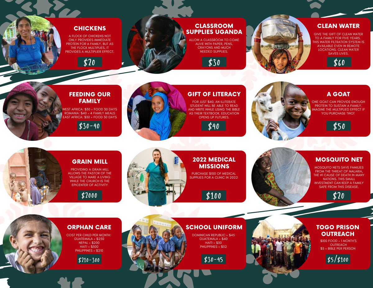 1_CSI's tweet photo. Bring Joy To The World! 

We are so excited to announce the CSi 2021 Christmas Catalog.
This Holiday Season, bring Joy To The World with the purchase of chickens, goats, mosquito nets, books, and so much more! https://t.co/kVcwKj8CVG