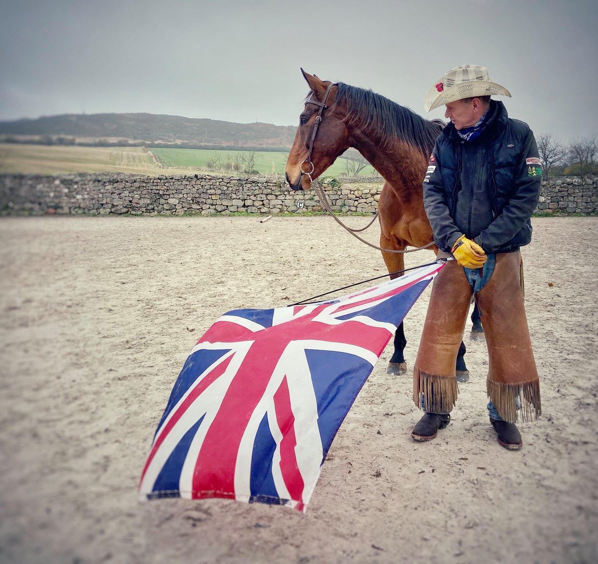HorseBackUK's tweet photo. This is Delatite a former racehorse who now spends his days helping sick and injured veterans. @bpowell13 @CollingsBerry @JohnWathenBerry @PerthRacecourse @RoRlatest @IJF_official @Redcarracing @tommoracing @itvracing @RacingHearts1 @Racingwelfare @GBRacing @racingtorelate https://t.co/hAdM1PZTux