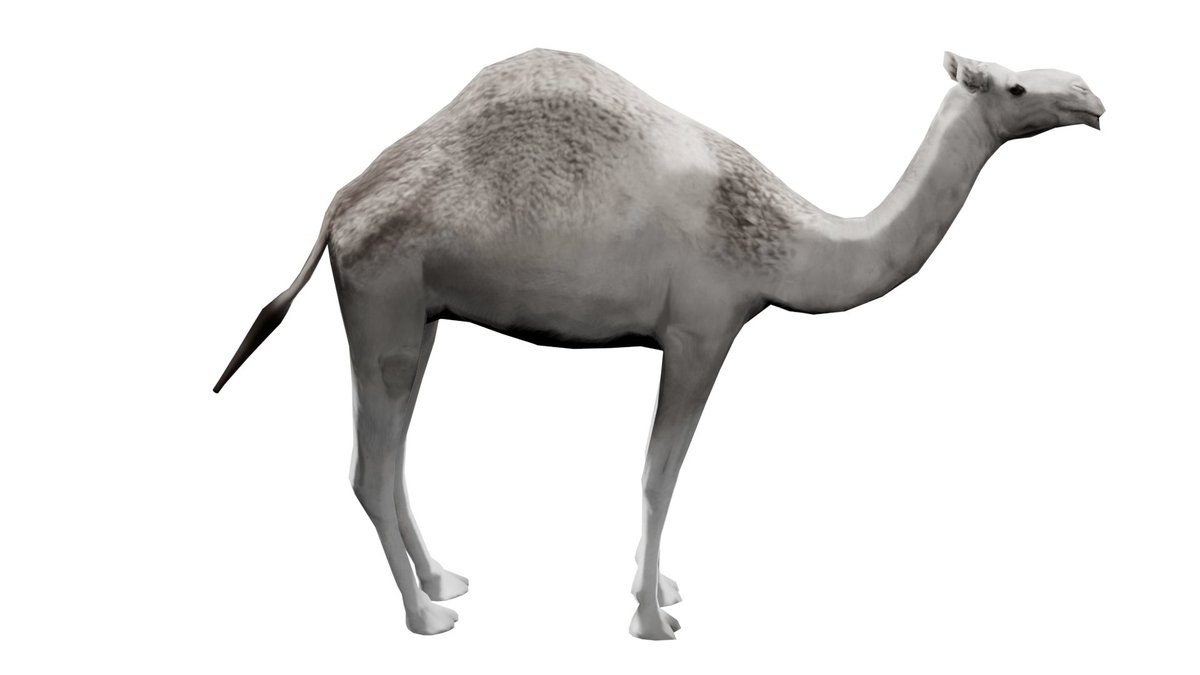 Things are in the making
DesertShip NFTs represent digital camels with features of breeding, nurturing, and racing.

#NFTs #BlockchainGame #gaming #Fantom #MATIC #polygonNFT #Fantomnetwork