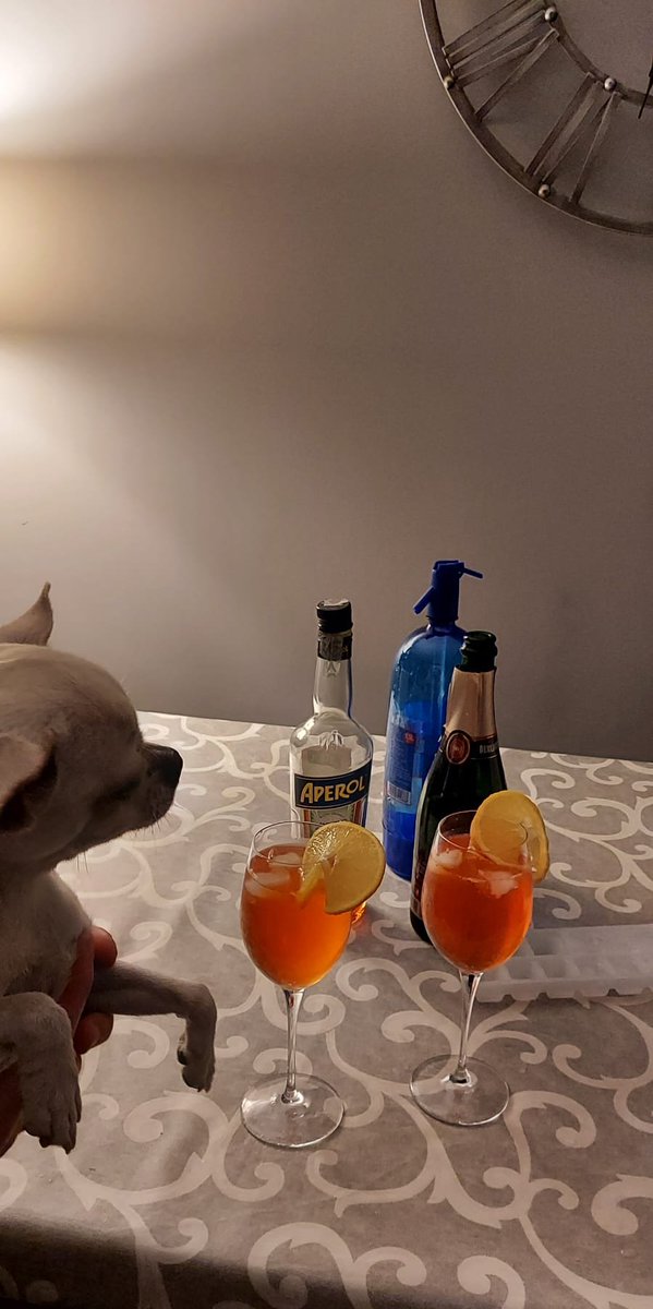 ivrea_official's tweet photo. A Berlucchi Spritz with the girls from the "je lis littératie" french reading group. #girlsread #litteratie #literary #berlucchi #spritz https://t.co/xAPnd6KolI