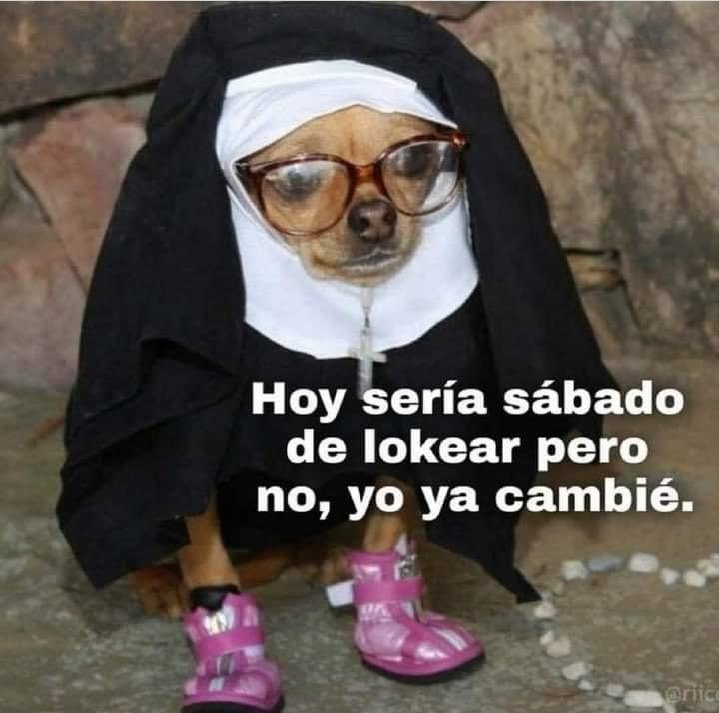 skereunpesado's tweet photo. https://t.co/5kXrAxM1vN