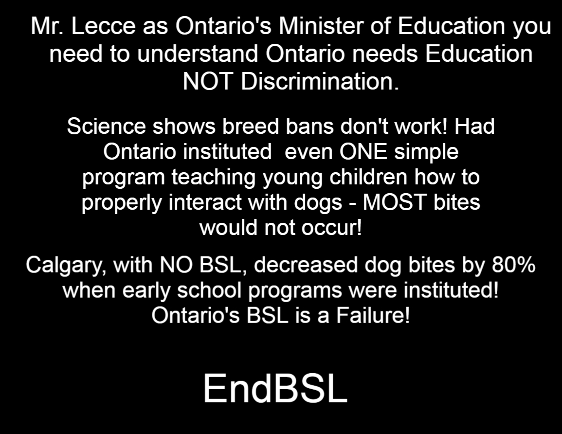 Fayclis's tweet photo. @RobynUrback This is what Ontario has needed for the last 16 years instead of laws targeting innocent dogs and families. Hopefully you will see the video and understand the young man did EVERYTHING wrong when approaching and interacting with the dog at least 5 X. #EducationNOTDiscrimination https://t.co/GbyT3a2dPR