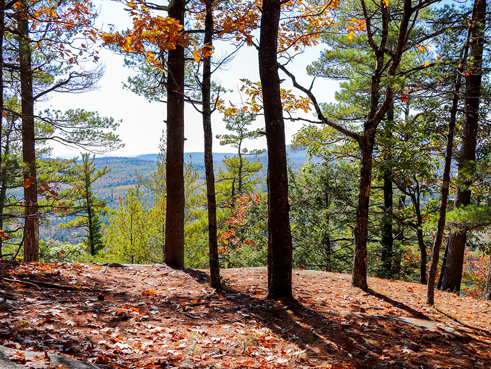 Another great shot from the top of Mount Phillip in Rome, Maine. #mountphillip #kennebechighlands #outdoors #maine #newengland #mainefoliage #fallfoliage #hiking #belgradelakes #photography #landscapephotography #westernmaine #fall #autumn #naturephotography #nature #landscape