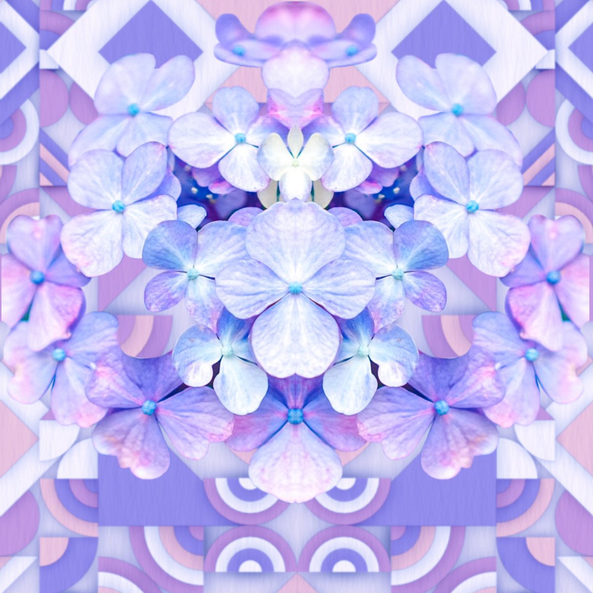 SawacoNakagawa's tweet photo. The laws of beauty in nature are the same as those of @generativemasks
It's so very, very beautiful.💠
#GMsArt2021Nov #generativemask https://t.co/6hWwk9yxwW