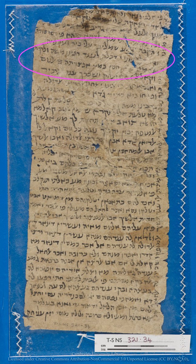 GenizaLab's tweet photo. A medieval medical student following his dreams: 

"[Dear Mom], I visited Rabbi Moses (Maimonides), who received me handsomely, just as I saw in my dream."

1/x https://t.co/zam3Tj6PMf